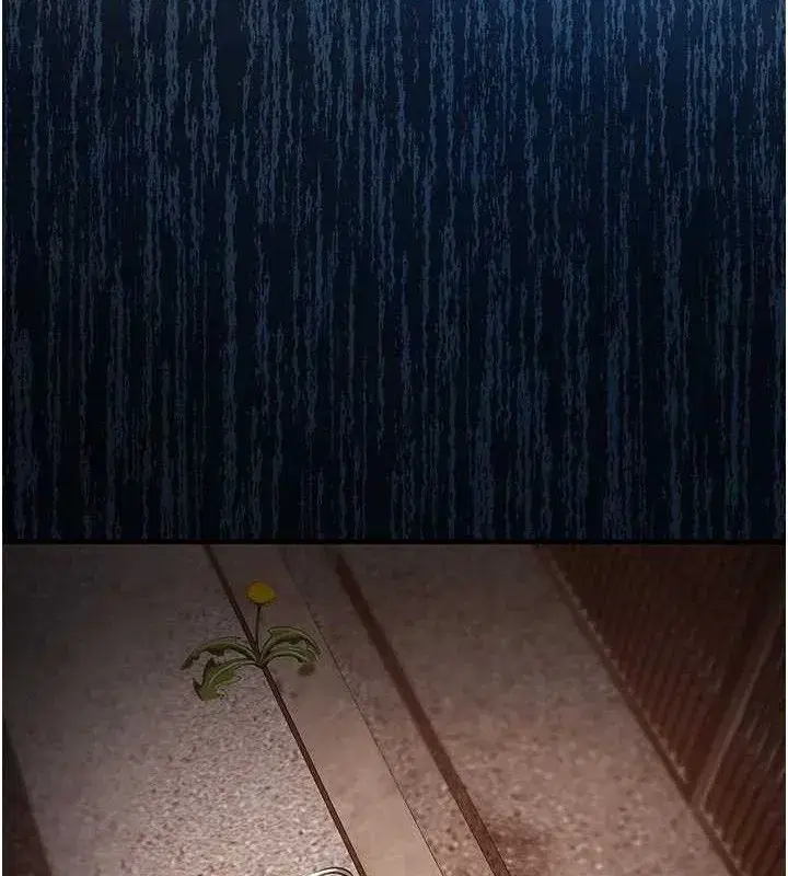 第11話-訓練狗狗大小便