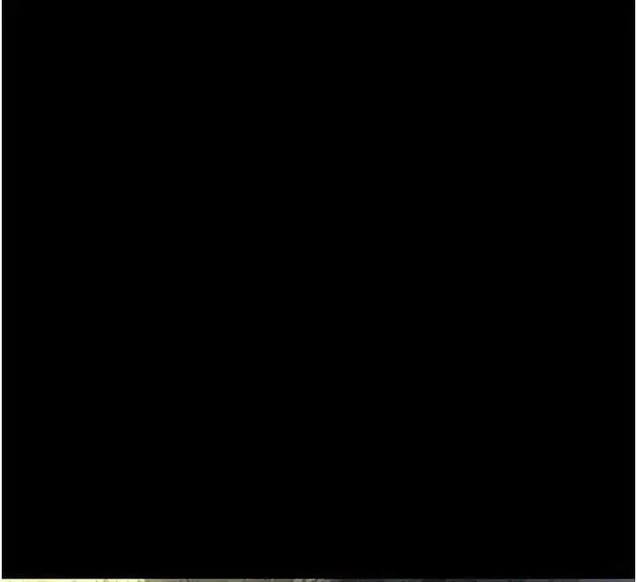 第41話-我看得非常開心