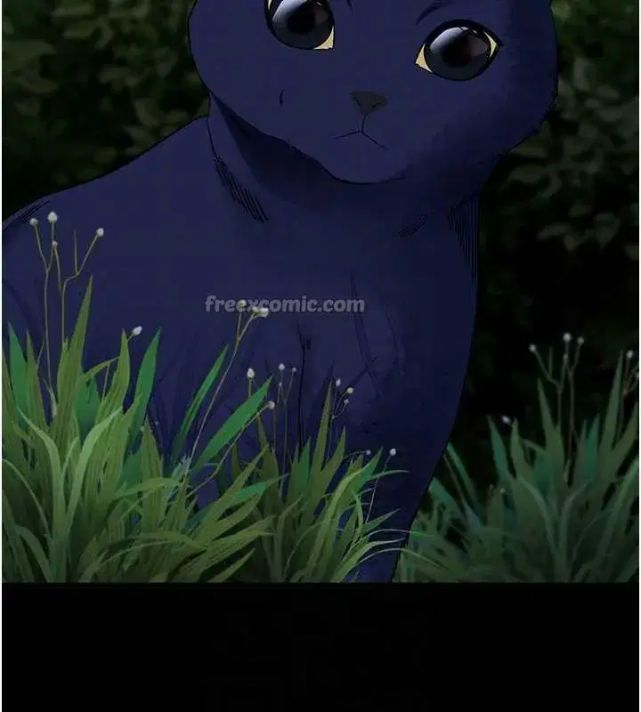 第41話-我看得非常開心