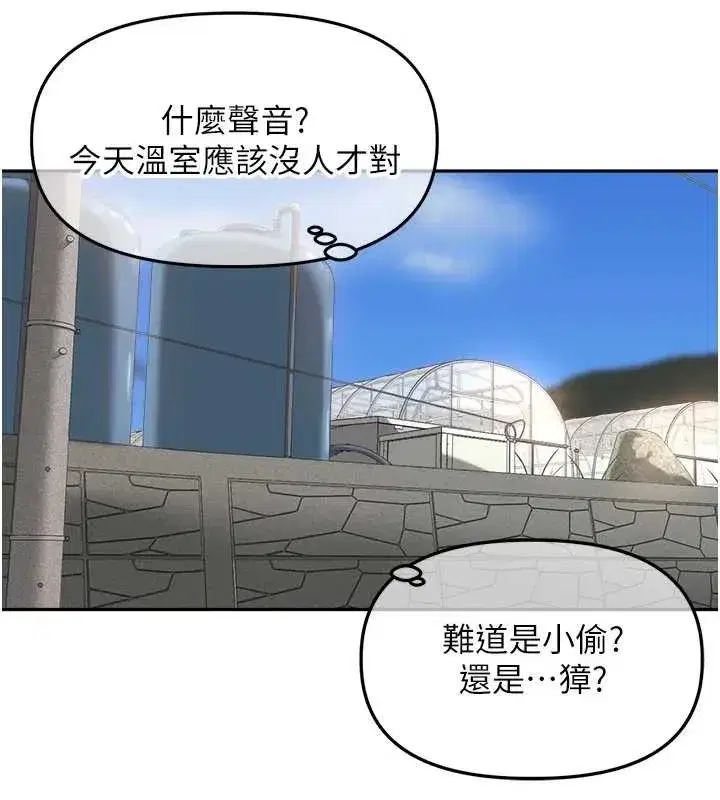 第7話-曾經的夢中情鮑
