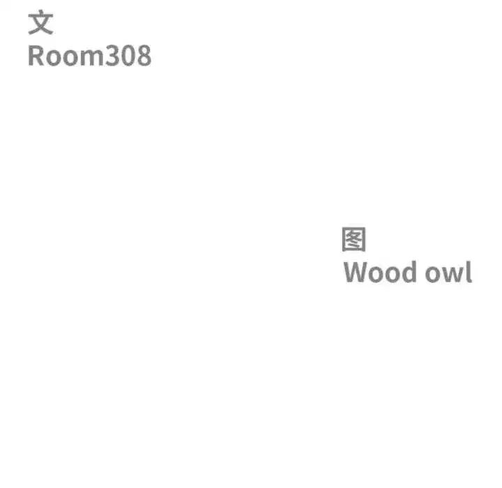 第117話 - 第13页