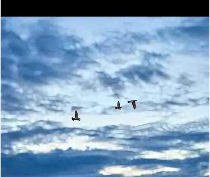 第44話-我所做的都是為了你