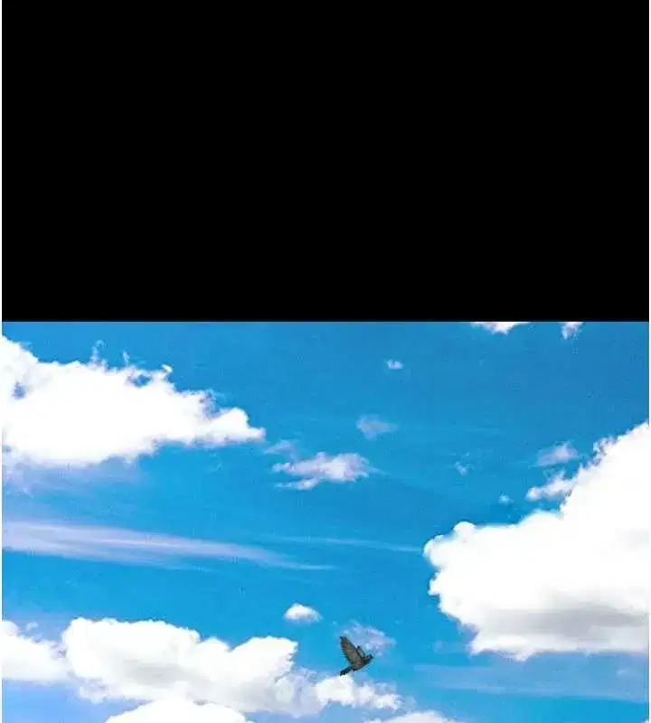 第84話-唯一對韶恩無感的男人