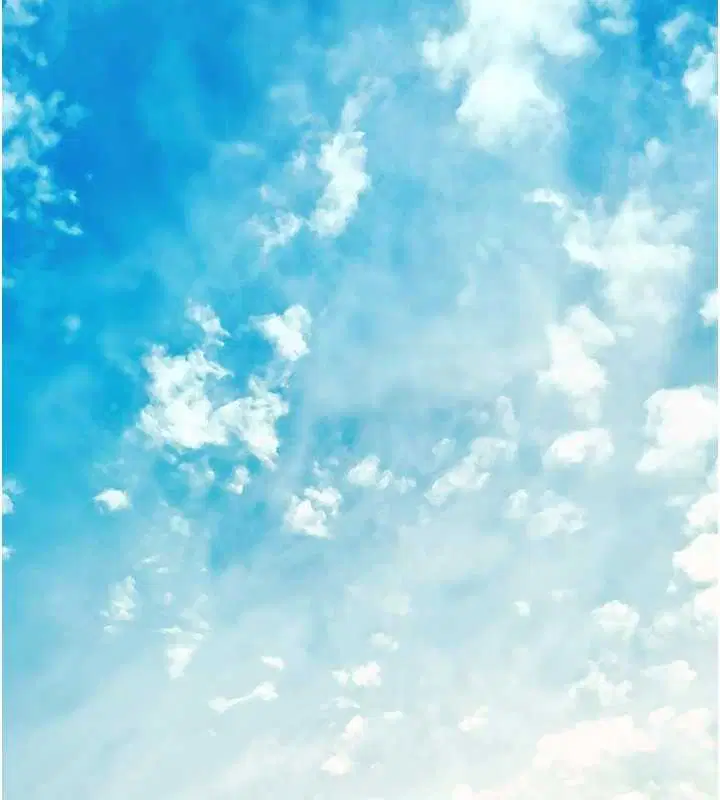 第184話 - 第49页