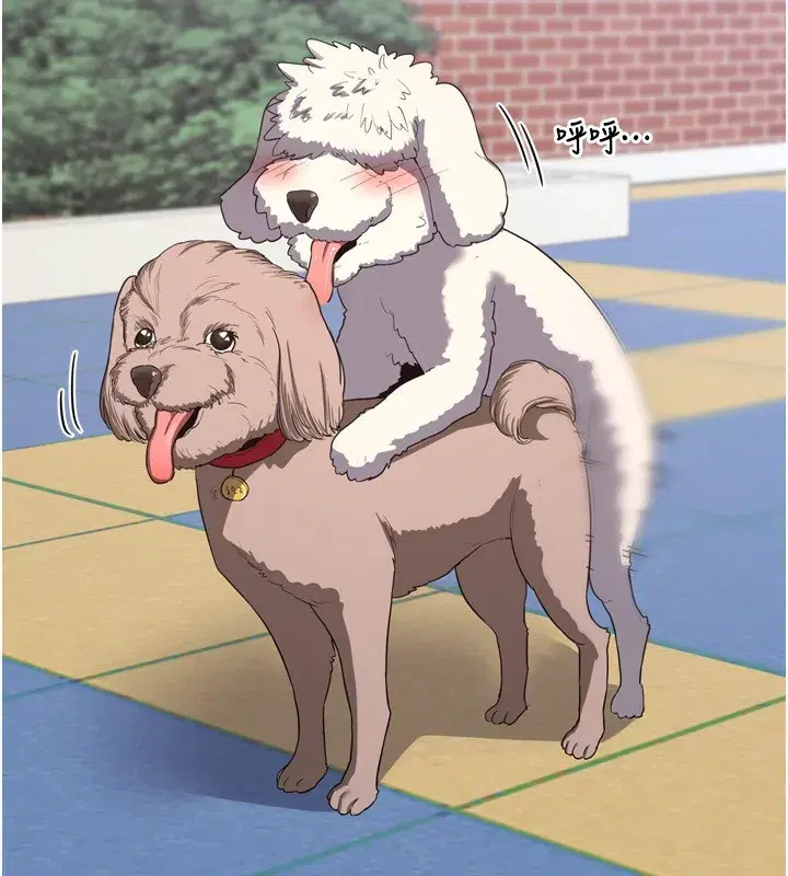 第5話-你的發育都集中在這裡了