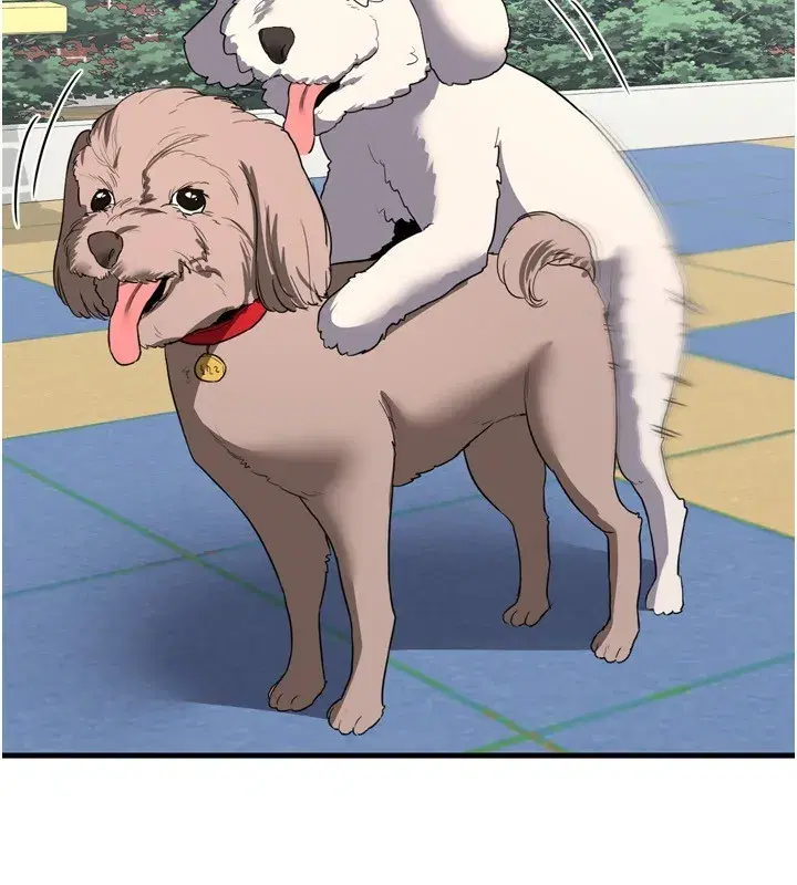 第5話-你的發育都集中在這裡了