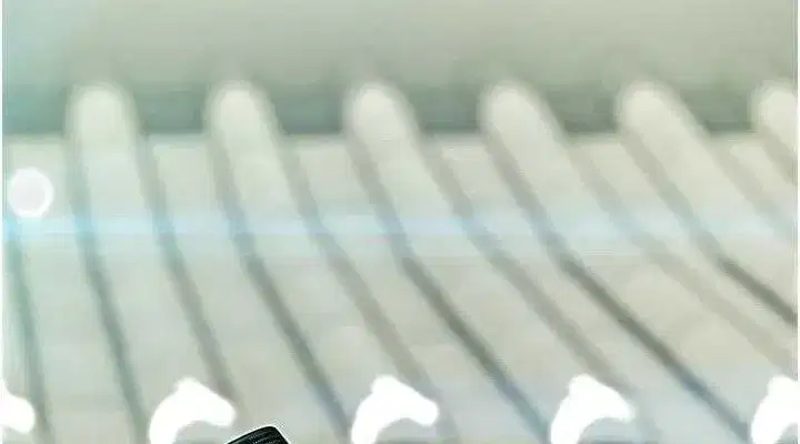 第51話-共譜汁鮮繾綣栗花情