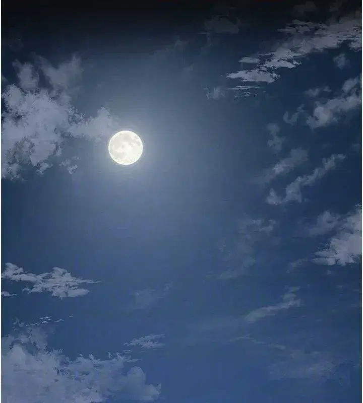 第60話-幫小姐揉一揉