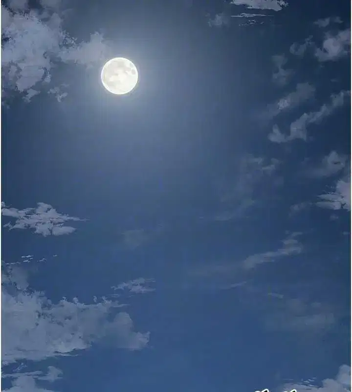 第69話-深夜密會男僕