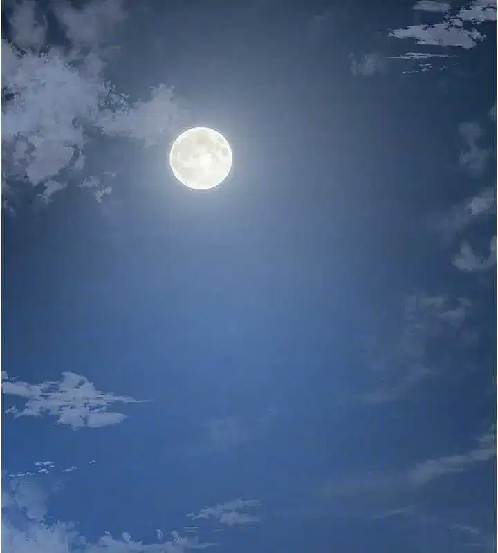 第79話-昨晚你真粗魯…