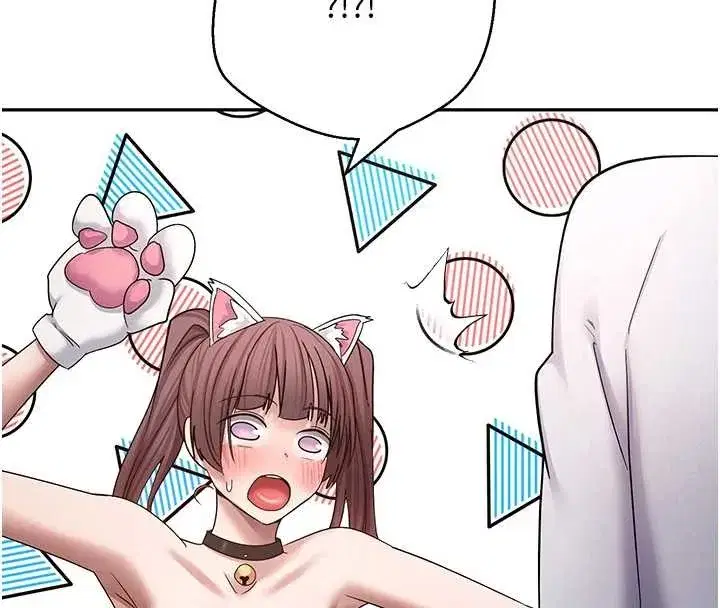 第54話-三隻淫亂的母貓