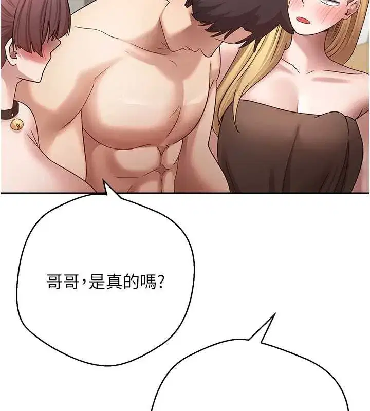 第54話-三隻淫亂的母貓