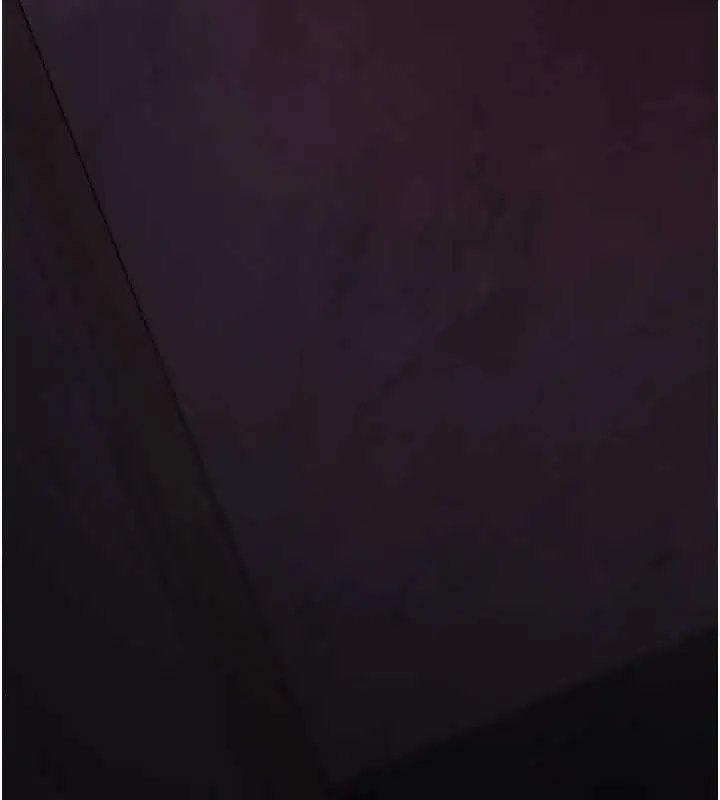 第225話