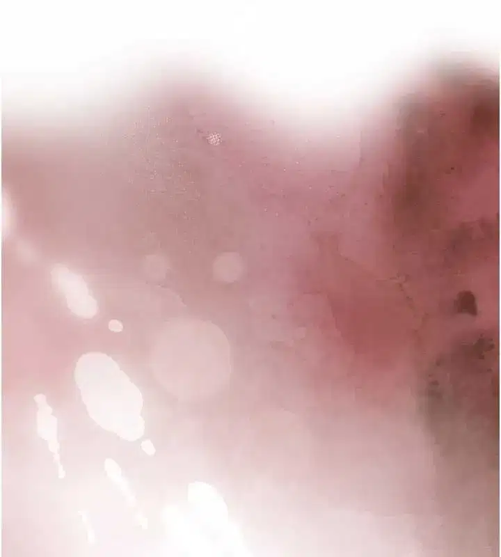 第17話-可愛的媳婦們正在等我