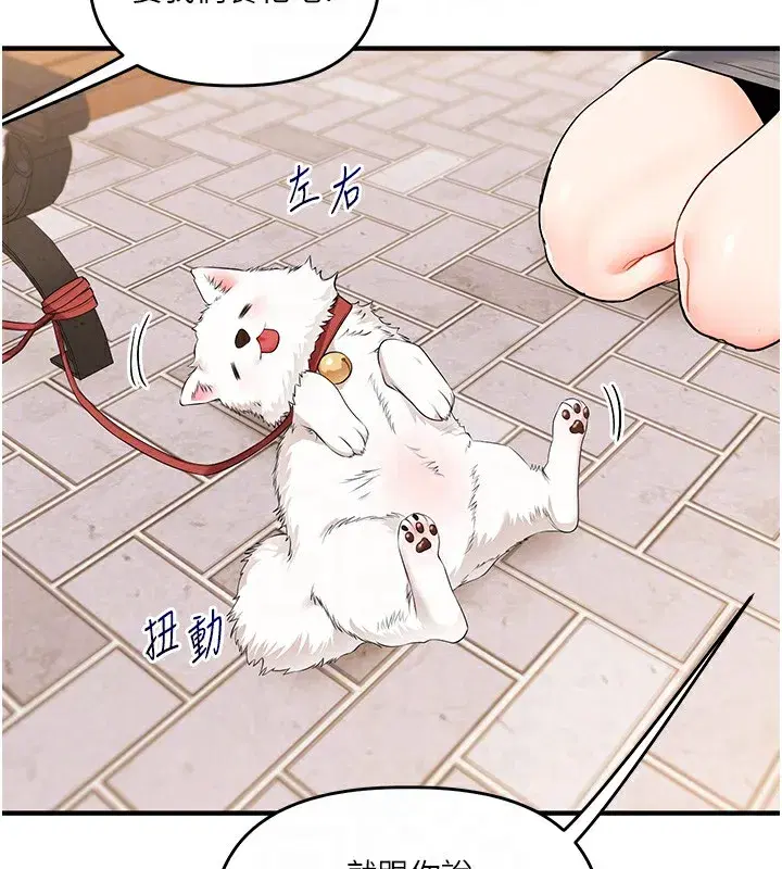 第72話-天降的黃色邀請函