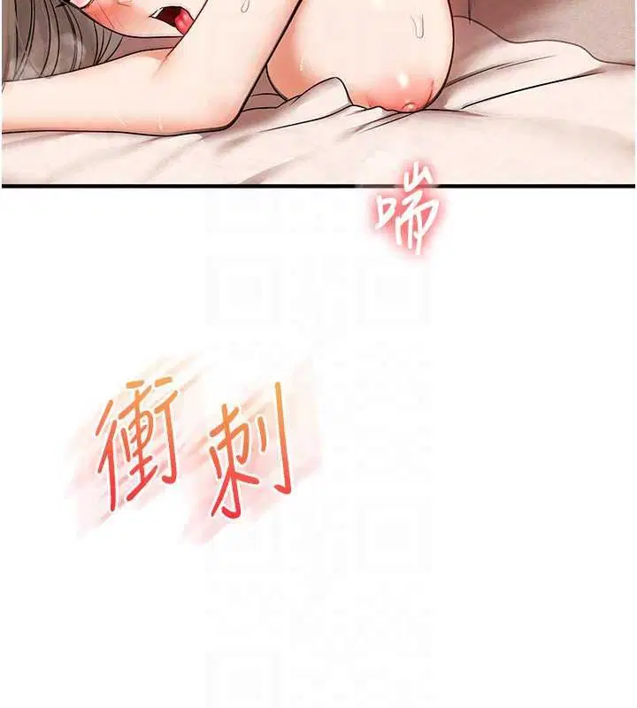 第125話-一起重塑菊花吧_