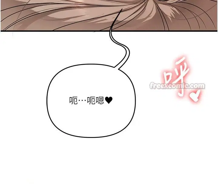 第125話-一起重塑菊花吧_