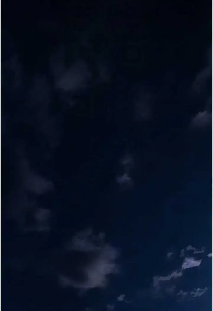 第48話-處女貓交戰守則♥