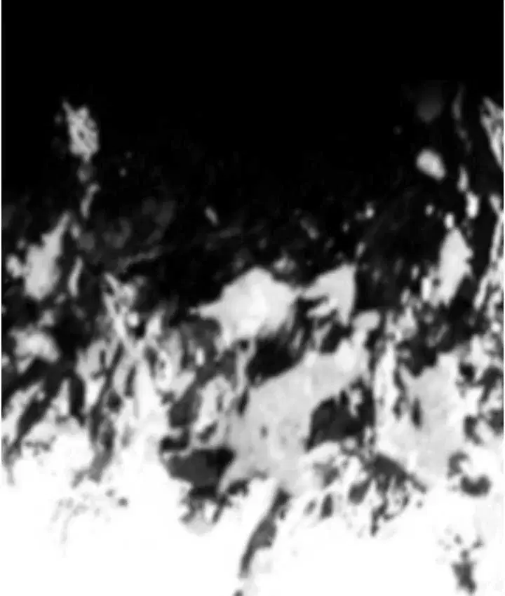 第65話-調教夫人鮑魚小隊成立!