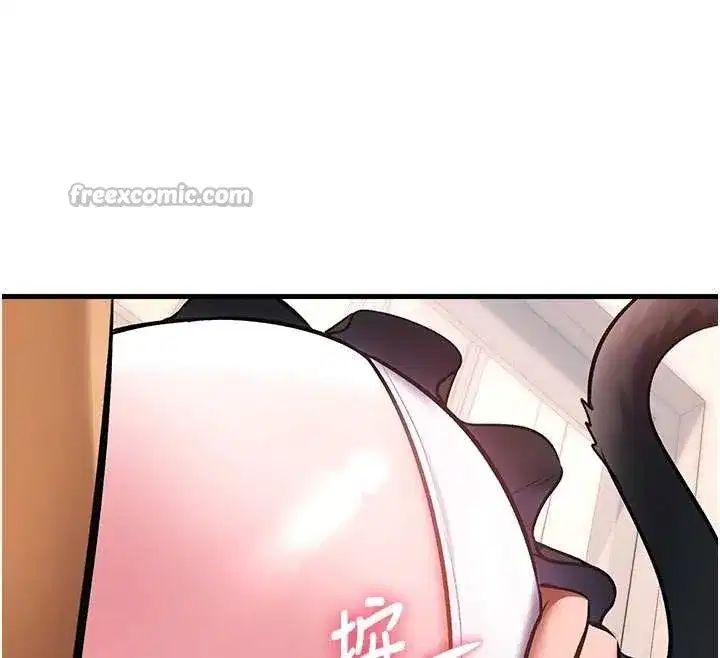 第17話-馴服野貓守則