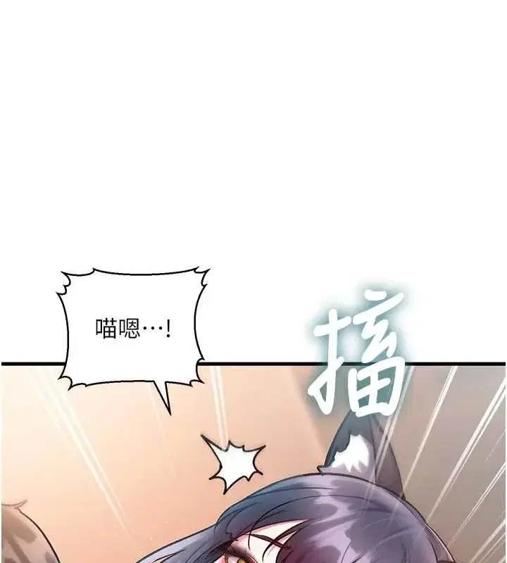 第17話-馴服野貓守則