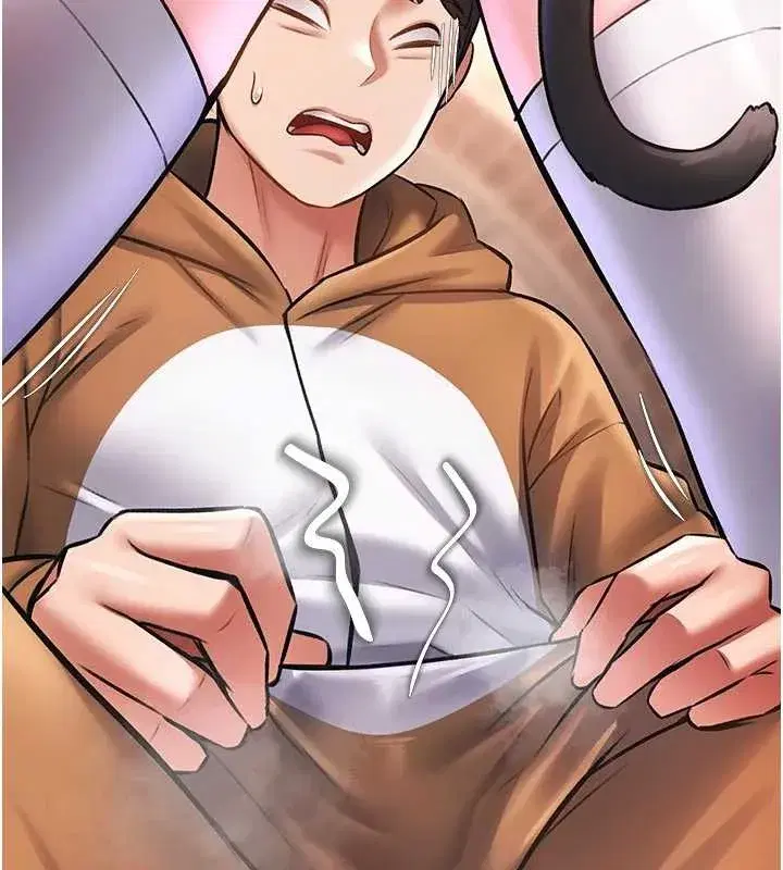 第17話-馴服野貓守則