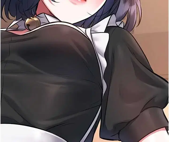 第17話-馴服野貓守則