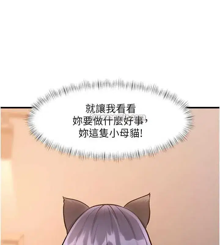 第17話-馴服野貓守則