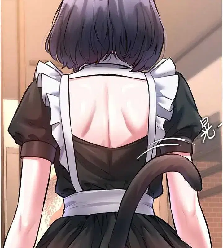 第17話-馴服野貓守則