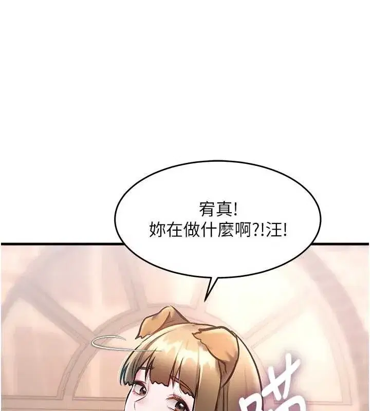 第17話-馴服野貓守則