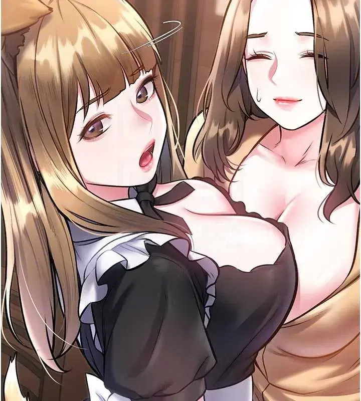 第17話-馴服野貓守則