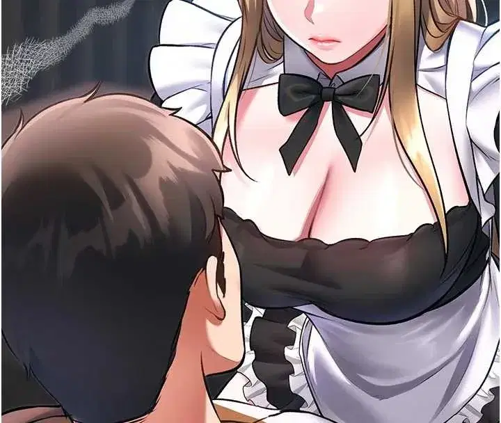 第17話-馴服野貓守則