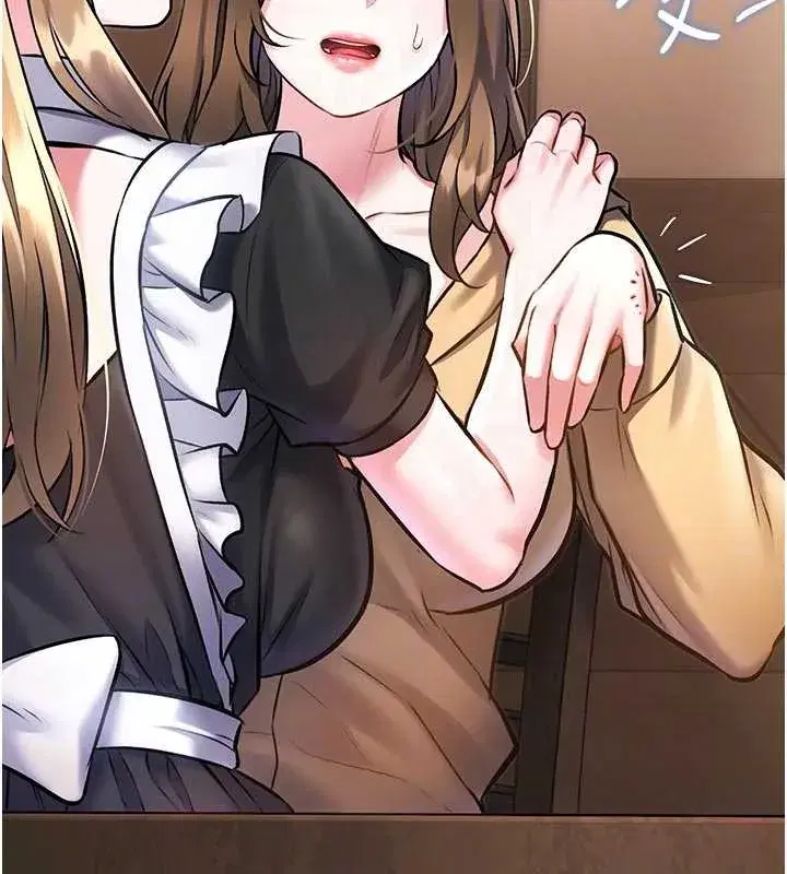 第17話-馴服野貓守則