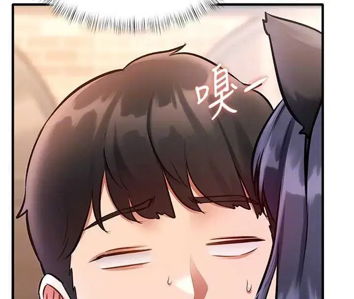 第17話-馴服野貓守則