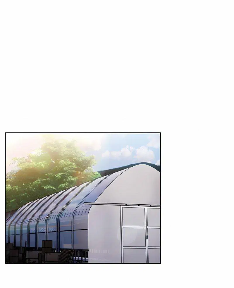 第13話