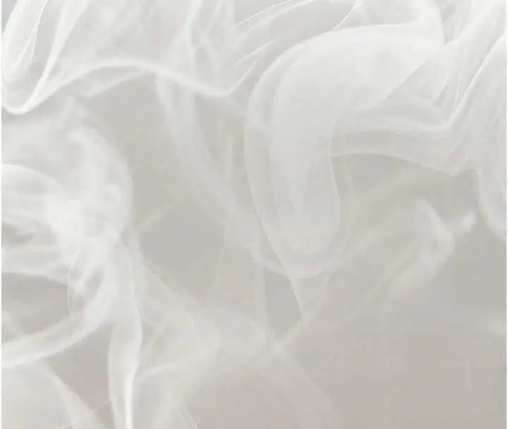 第39話-有其子必有其母