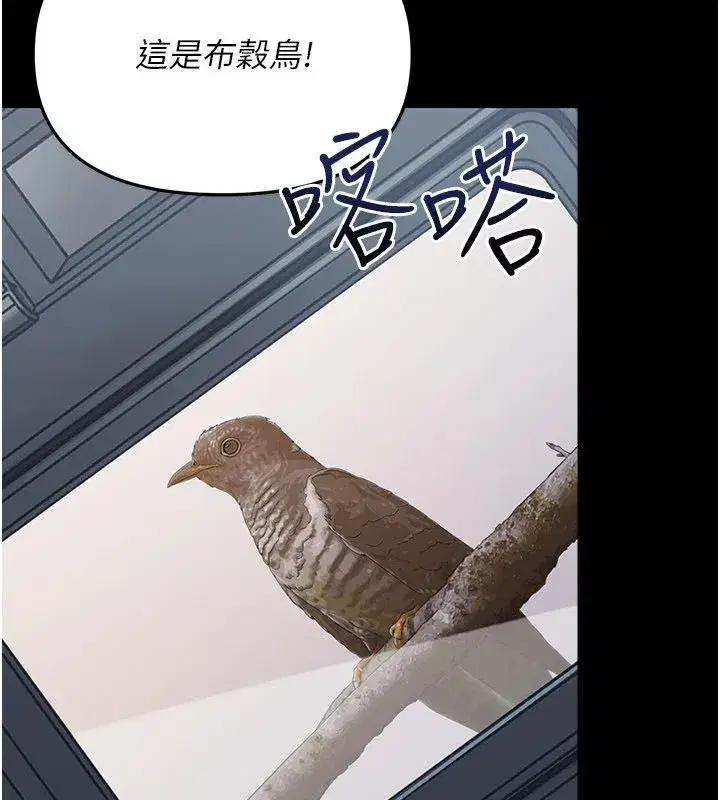 第1話-長不大的小飛俠