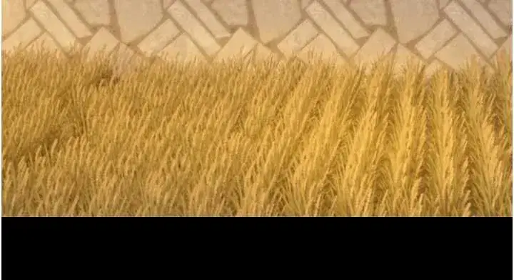 第12話-好懷念你的「技術」