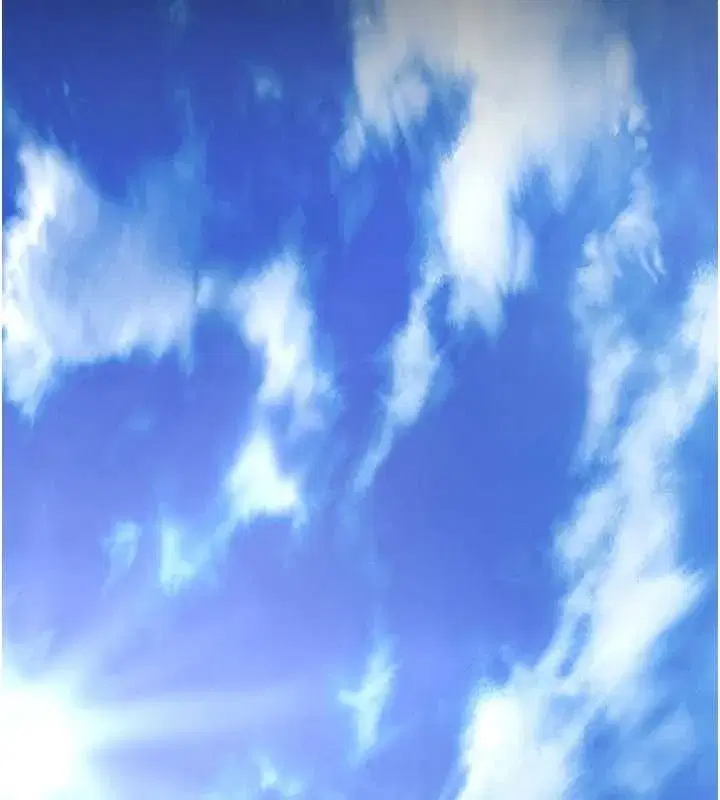 第1話-為權勢服務的菁英律師