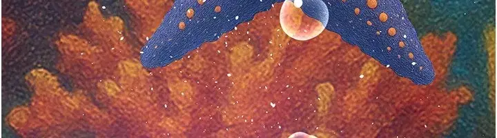 第3話-渴望自由的籠中鳥