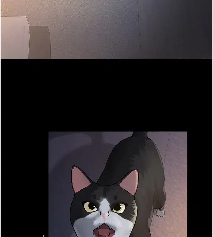 第3話-渴望自由的籠中鳥