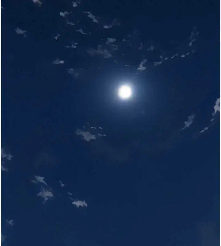 第12話-掏空計畫開始