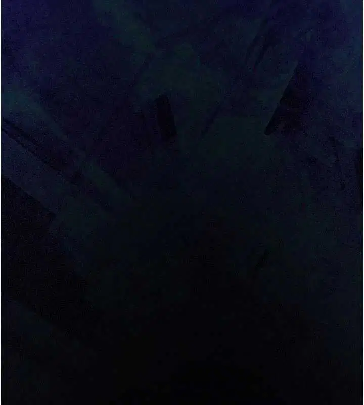 第13話-被冷落的義女 - 第17页