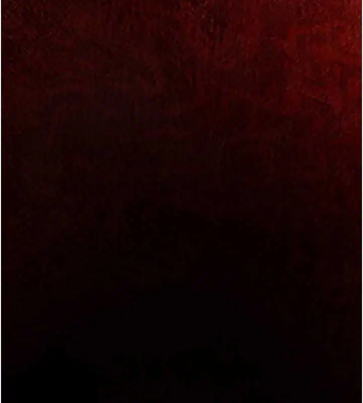 第13話 - 第173页