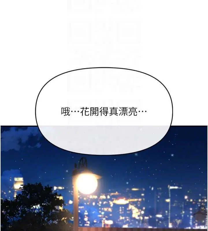 第5話-邂逅美少女