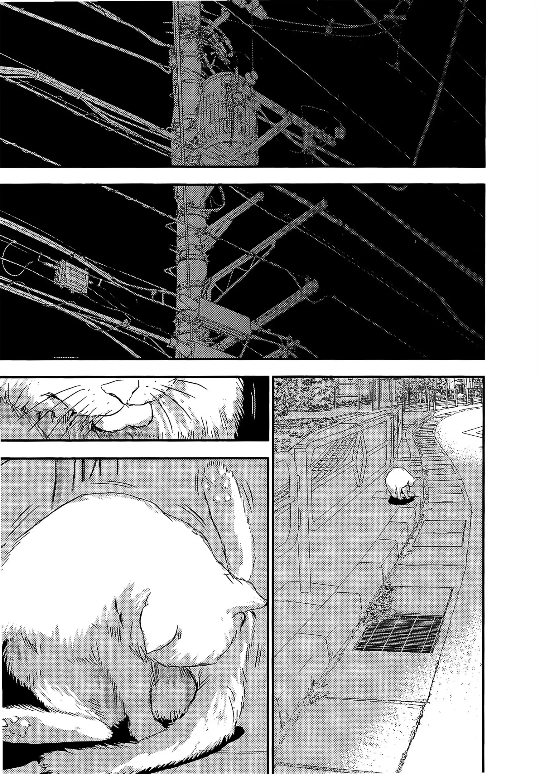 第10話